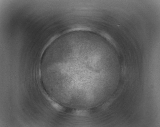 X0000082961274200702081706