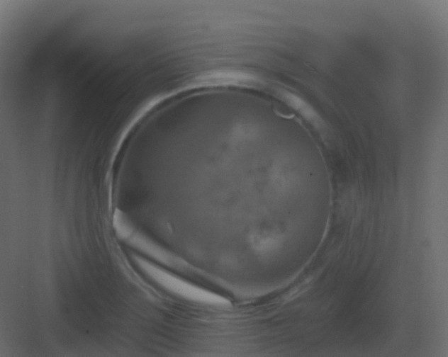 X0000082961275200702081706