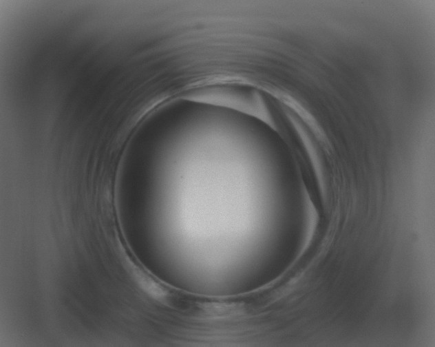 X0000082961281200702081706