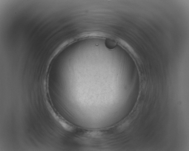 X0000082961282200702081706