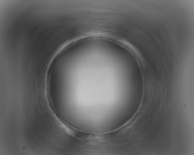 X0000082961286200702081706