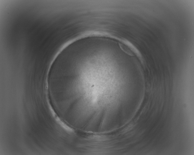 X0000082961287200702081706