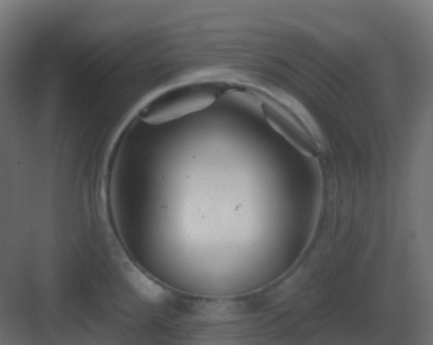 X0000082961288200702081706