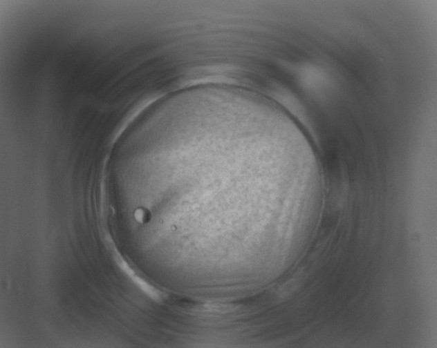 X0000082961290200702081706