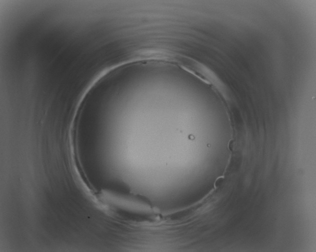 X0000082961291200702081706