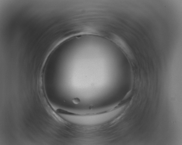 X0000082961292200702081706