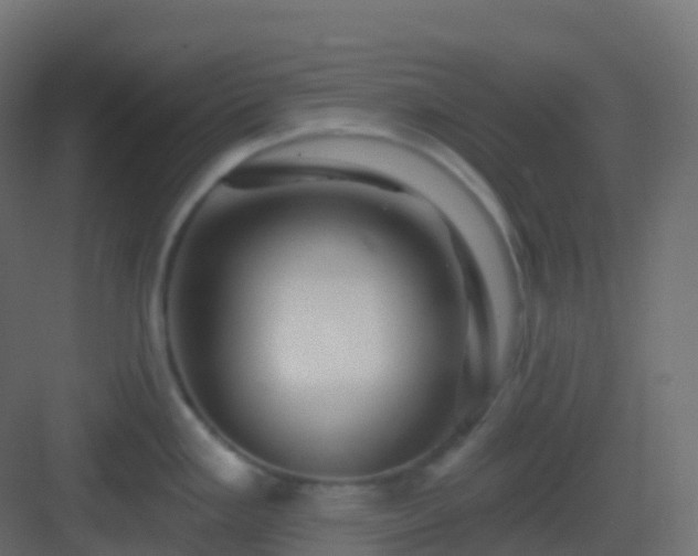 X0000082961293200702081706