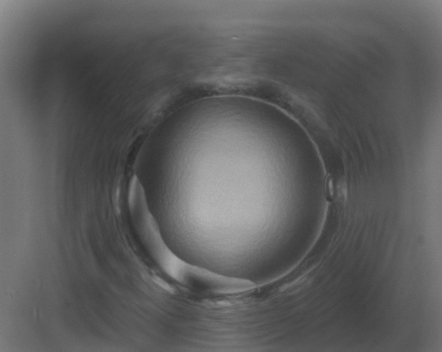 X0000082961300200702081705