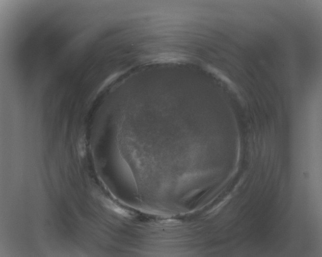 X0000082961306200702081705
