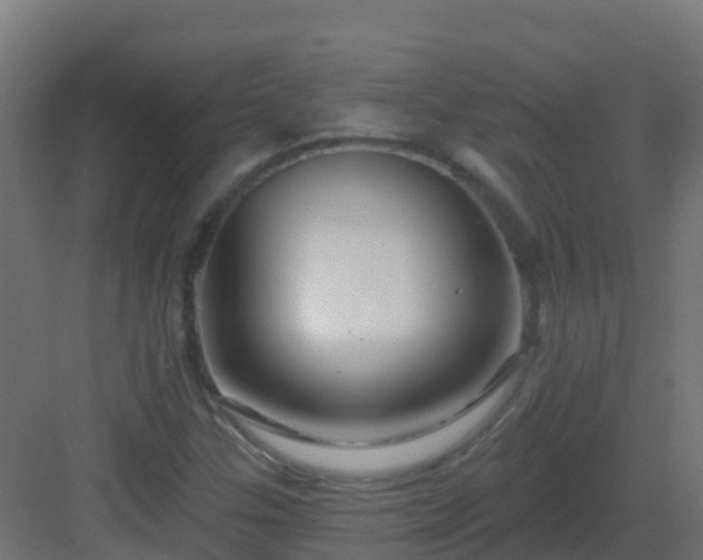 X0000082961307200702081705