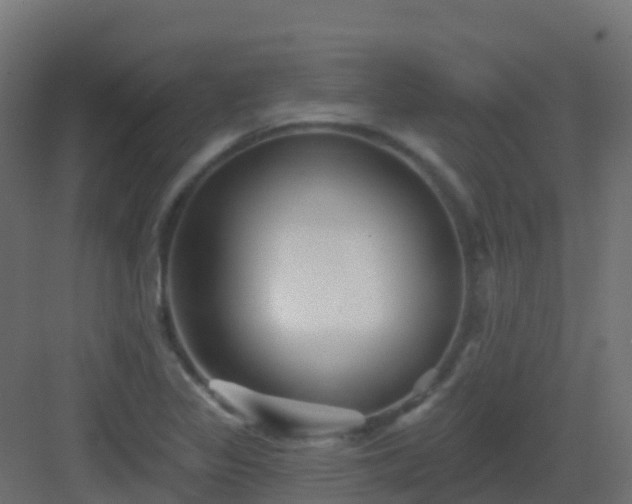 X0000082961317200702081705