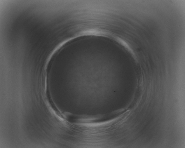 X0000082961323200702081705