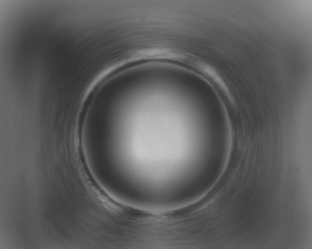 X0000082961328200702081705