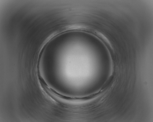 X0000082961330200702081705