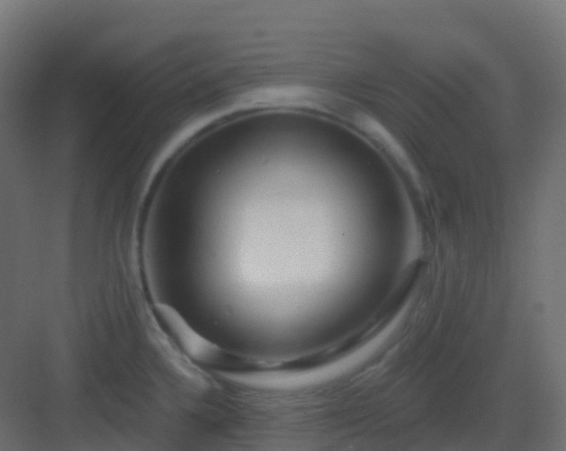 X0000082961336200702081706