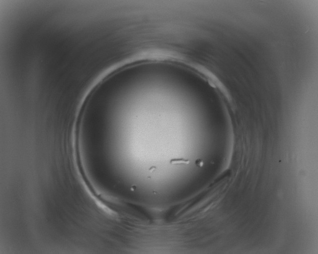 X0000082961343200702081706