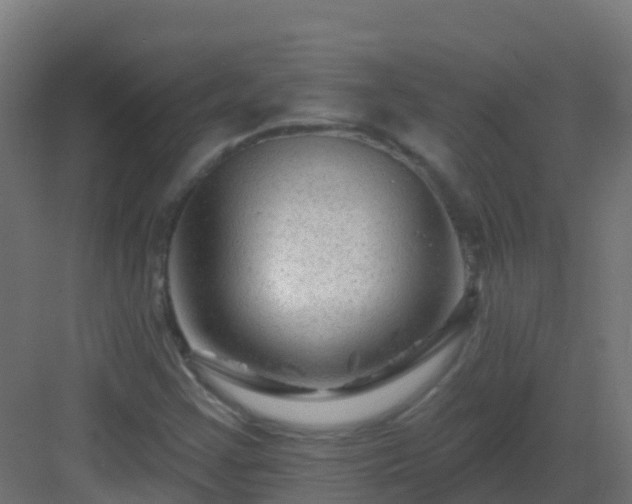 X0000082961355200702081705