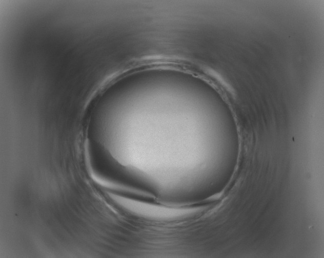 X0000082961357200702081705
