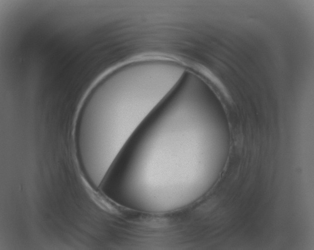 X0000082961372200702081704