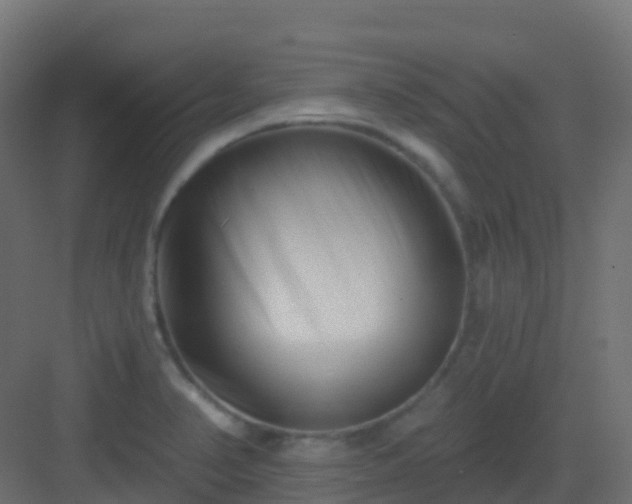 X0000082961374200702081704