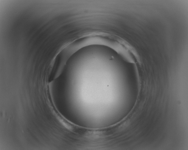 X0000082961377200702081704