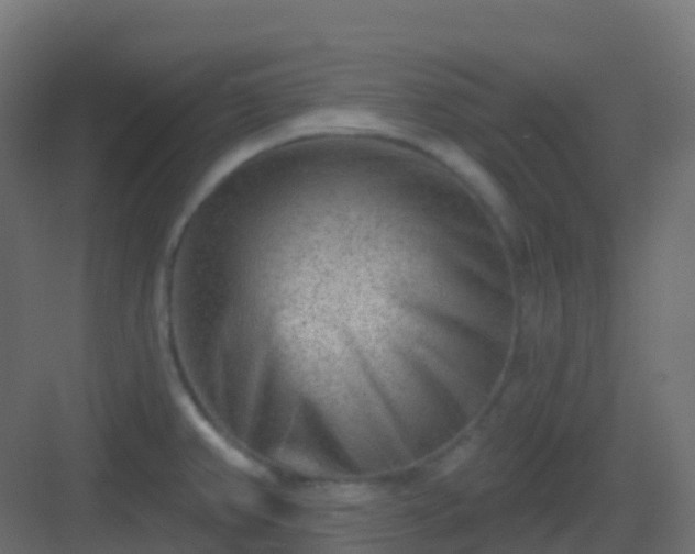 X0000082961382200702081704