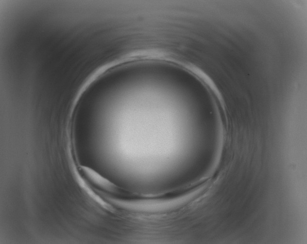 X0000082961389200702081704
