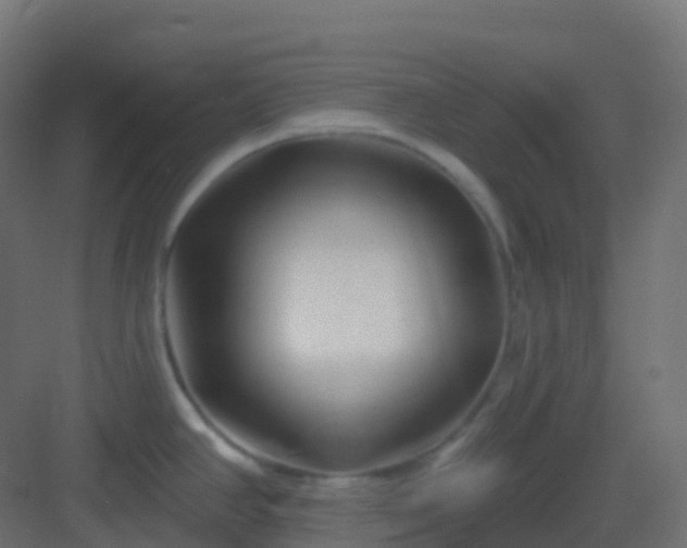 X0000082961390200702081704