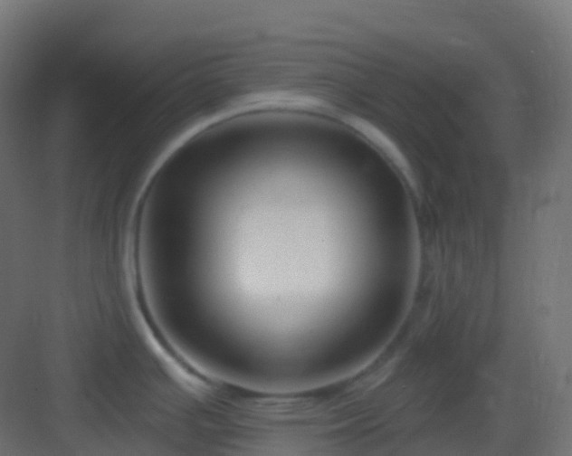 X0000082961391200702081704