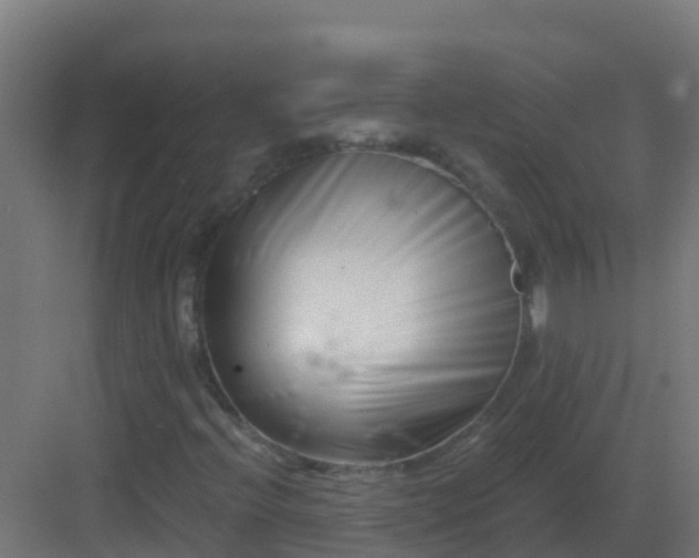 X0000082961396200702081703