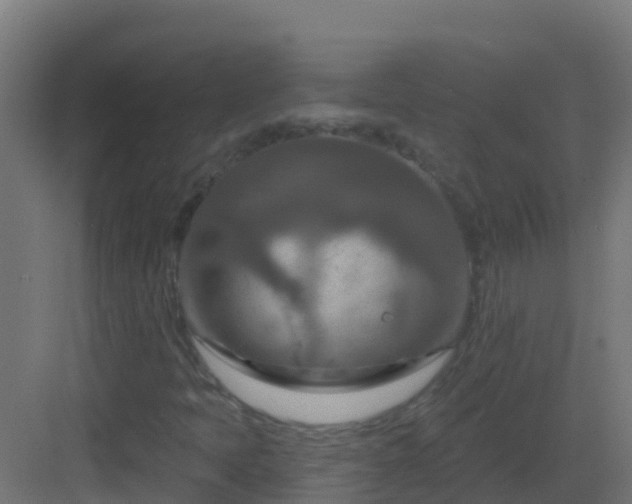 X0000082961397200702081703