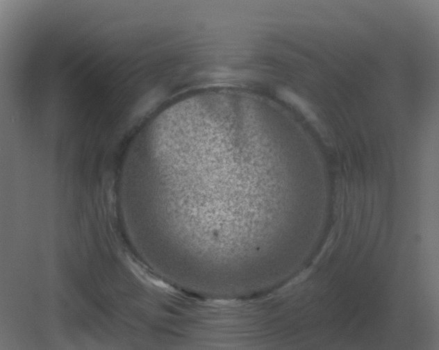 X0000082961403200702081703