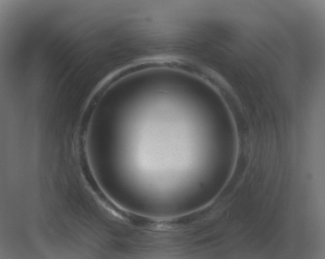X0000082961412200702081704