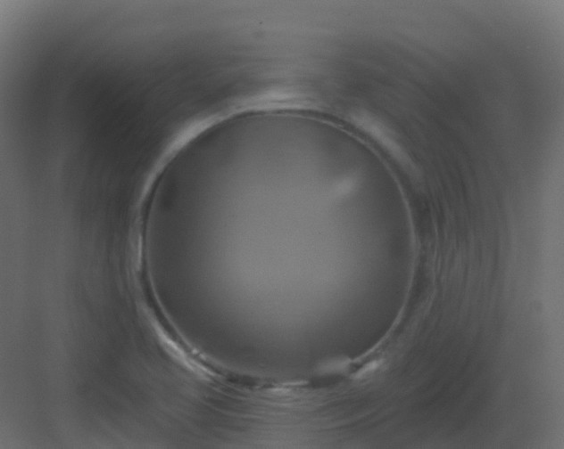 X0000082961413200702081704