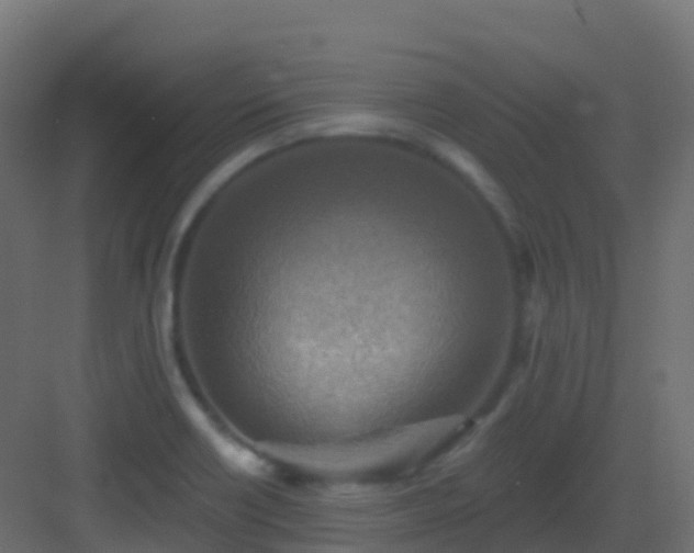 X0000082961418200702081704
