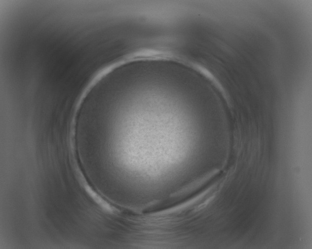 X0000082961421200702081704