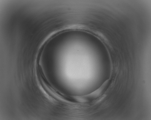 X0000082961422200702081704