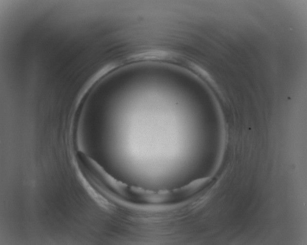 X0000082961426200702081704