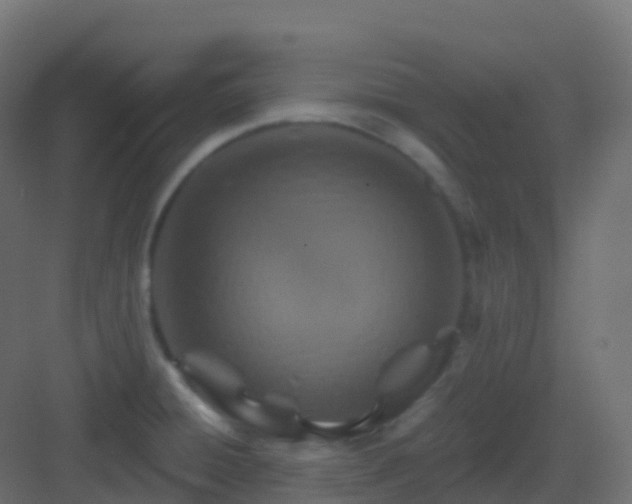 X0000082961428200702081704