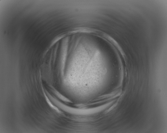 X0000082961433200702081704
