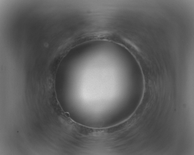 X0000082961447200702081703