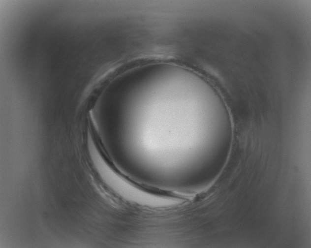 X0000082961448200702081703