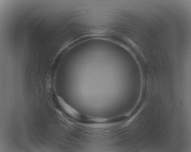 X0000082961449200702081703