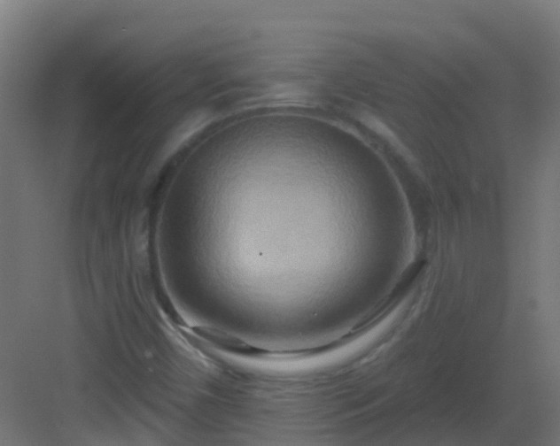 X0000082961450200702081703