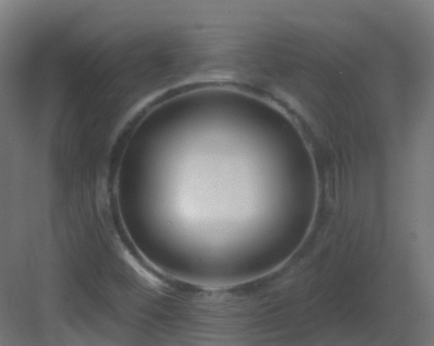 X0000082961452200702081703