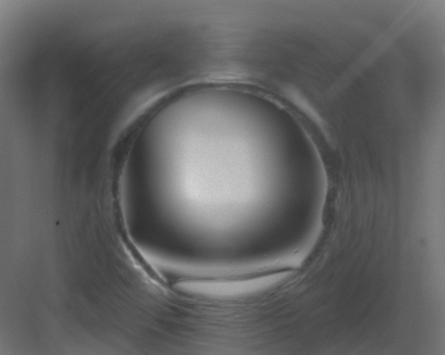 X0000082961456200702081703