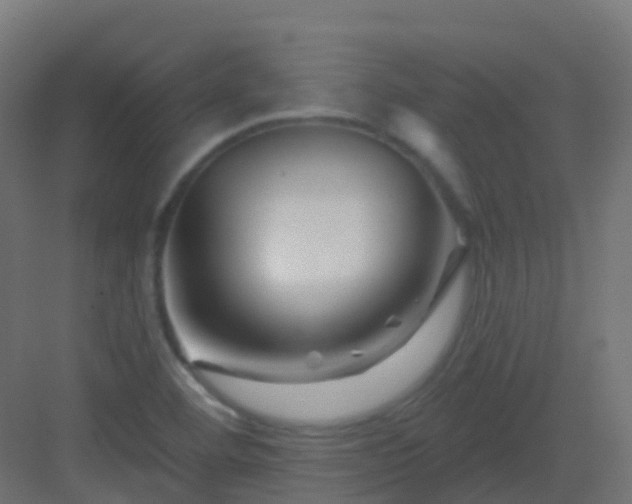 X0000082961460200702081703