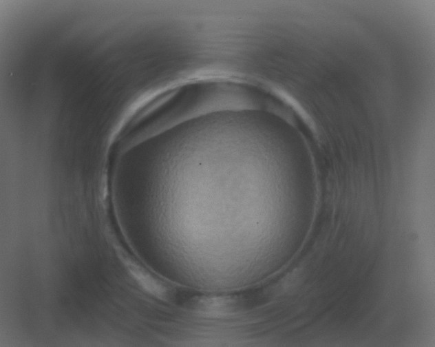 X0000082961461200702081703
