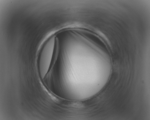 X0000082961464200702081703