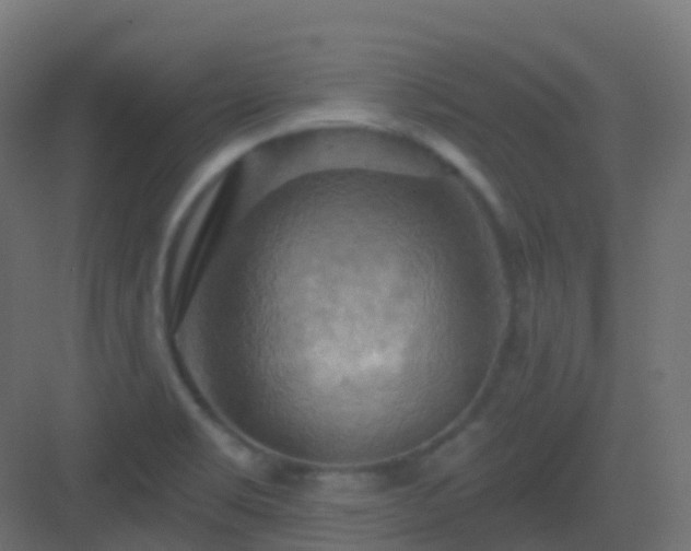 X0000082961469200702081703